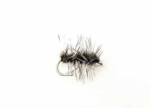 Griffiths gnat - 3,