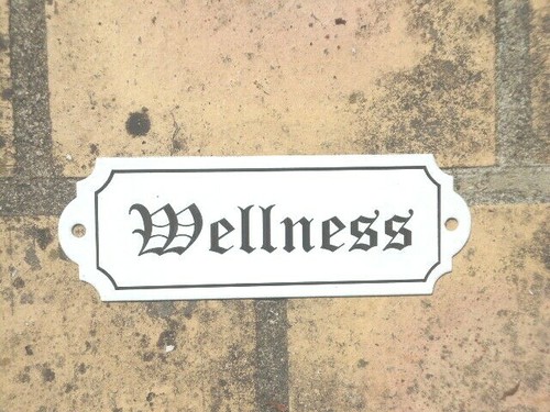 Welness email türschild - welness, echt