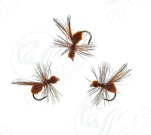 Fliegende ameisen - 3,
