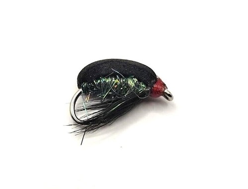 Schaumstoff beetle coch - coch, y