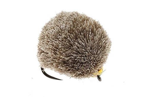 Goldhead karpfen hunde keks - karpfen,