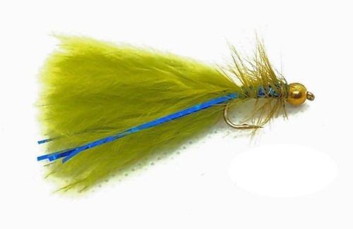 Olive blue flash damsel - 3,