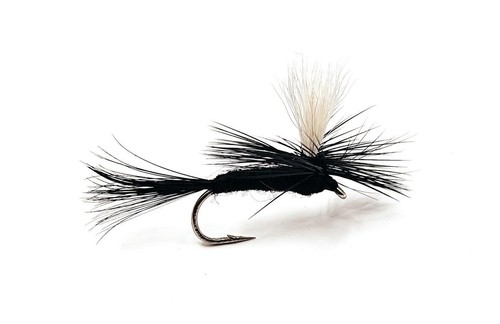 Fallschirm black gnat - fallschirm,