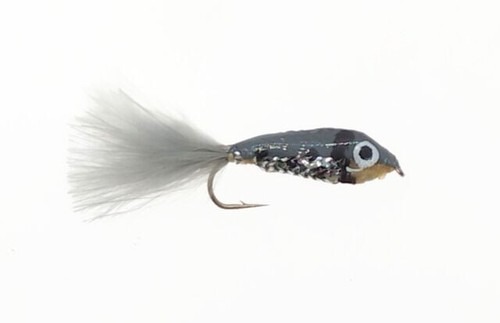 Epoxy silver minnow fliegen - 3,