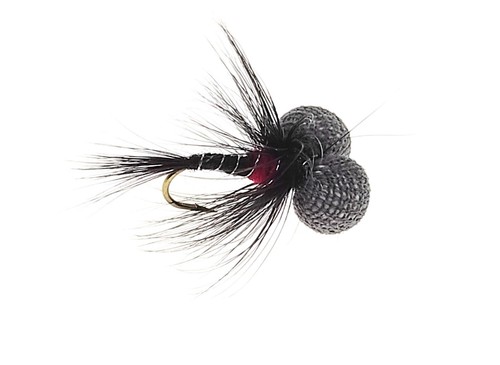 Cruncher booby fliegen - 3,