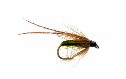 3er pack caddis welpenfliegen - caddis,
