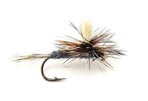 Adams fallschirm - 3,