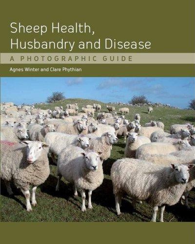 Sheep health husbandry and - health,,