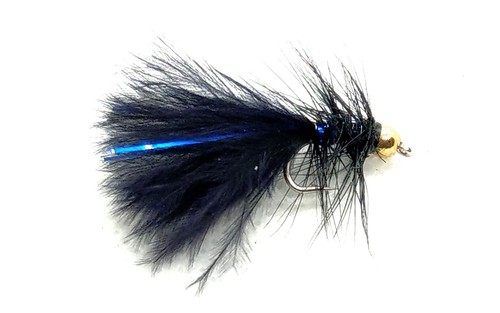 Goldhead black blue - black, flash